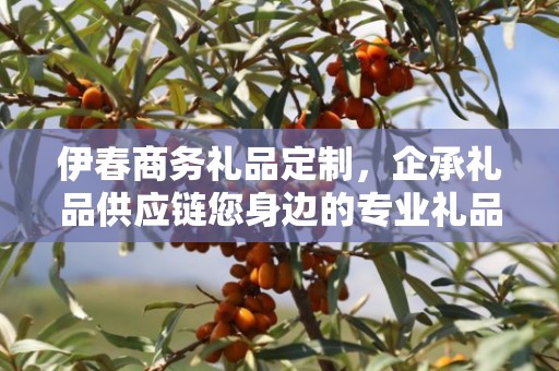 伊春商务礼品定制，企承礼品供应链您身边的专业礼品定制公司