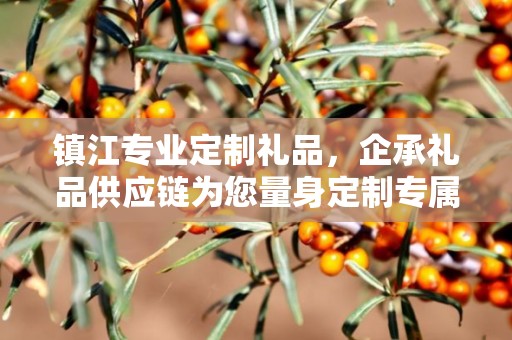 镇江专业定制礼品，企承礼品供应链为您量身定制专属礼品