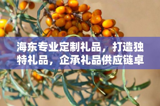 海东专业定制礼品，打造独特礼品，企承礼品供应链卓越服务