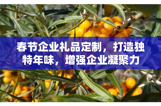 春节企业礼品定制，打造独特年味，增强企业凝聚力