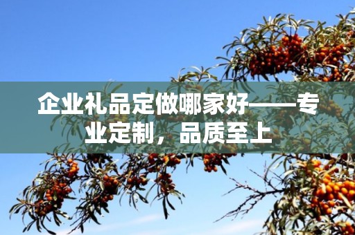 企业礼品定做哪家好——专业定制，品质至上