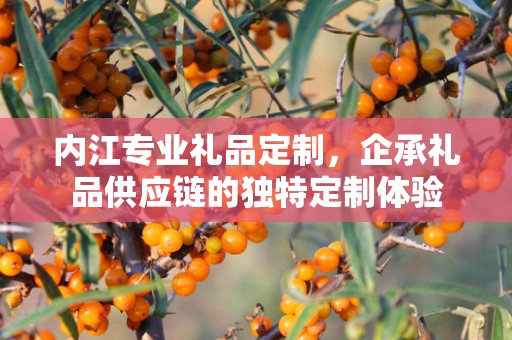 内江专业礼品定制，企承礼品供应链的独特定制体验