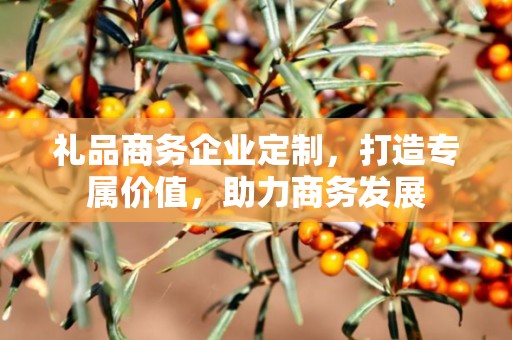 礼品商务企业定制，打造专属价值，助力商务发展