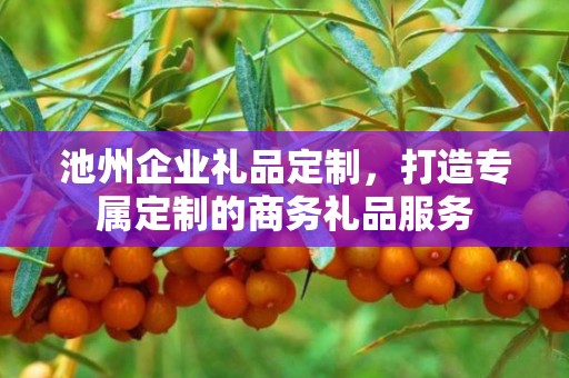 池州企业礼品定制，打造专属定制的商务礼品服务