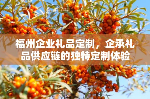 福州企业礼品定制，企承礼品供应链的独特定制体验