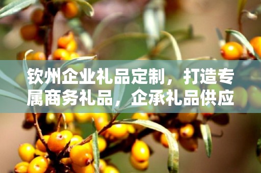 钦州企业礼品定制，打造专属商务礼品，企承礼品供应链助力企业发展