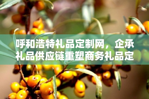 呼和浩特礼品定制网，企承礼品供应链重塑商务礼品定制体验