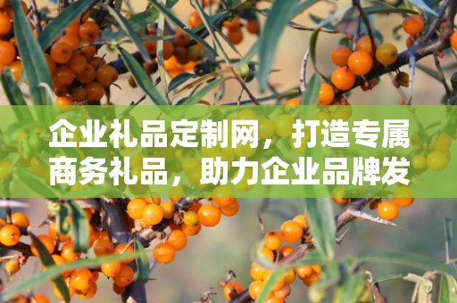 企业礼品定制网，打造专属商务礼品，助力企业品牌发展