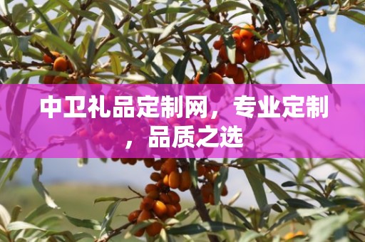中卫礼品定制网，专业定制，品质之选