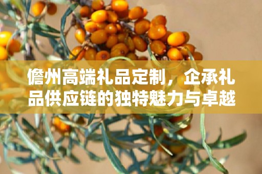 儋州高端礼品定制，企承礼品供应链的独特魅力与卓越服务