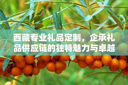 西藏专业礼品定制，企承礼品供应链的独特魅力与卓越服务