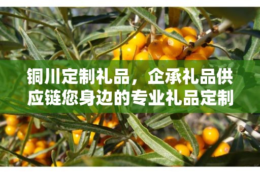 铜川定制礼品，企承礼品供应链您身边的专业礼品定制公司