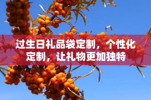 过生日礼品袋定制，个性化定制，让礼物更加独特