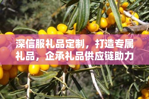 深信服礼品定制，打造专属礼品，企承礼品供应链助力商务发展