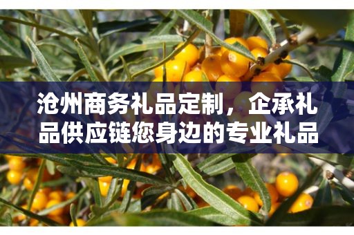 沧州商务礼品定制，企承礼品供应链您身边的专业礼品定制公司